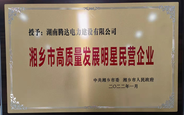 湘鄉(xiāng)市高質(zhì)量發(fā)展明星民營企業(yè)